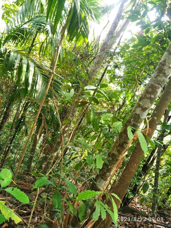 Spiritual Nature Farm - Sri Lanka Матале Экстерьер фото